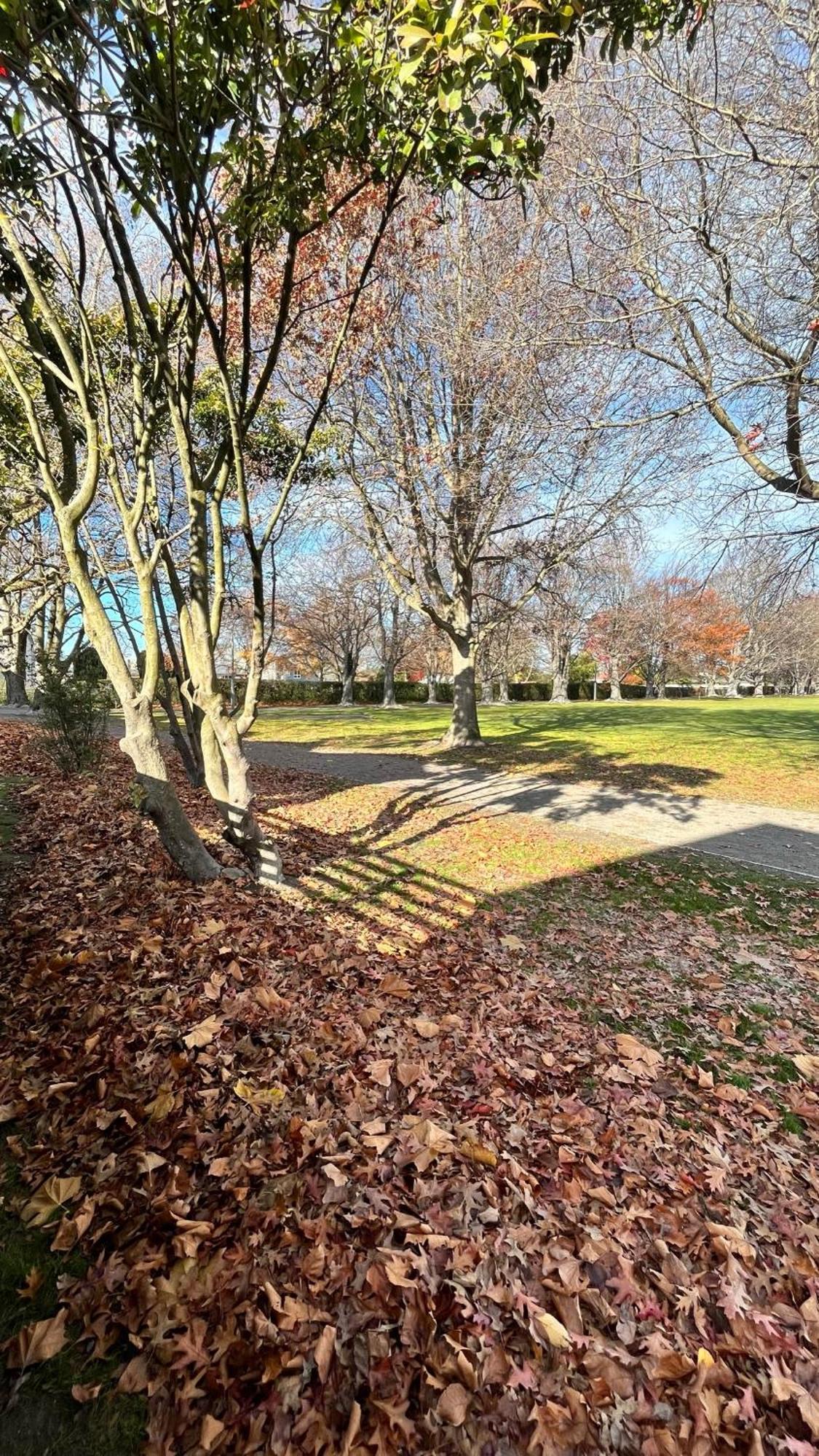 Luxury 2 Bedroom By St James Park Christchurch Esterno foto